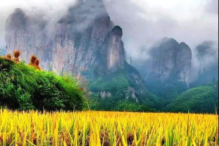 重庆黔江：志愿者为村民写春联送祝福